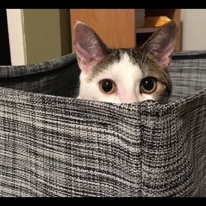 Meet your Posher, Rita